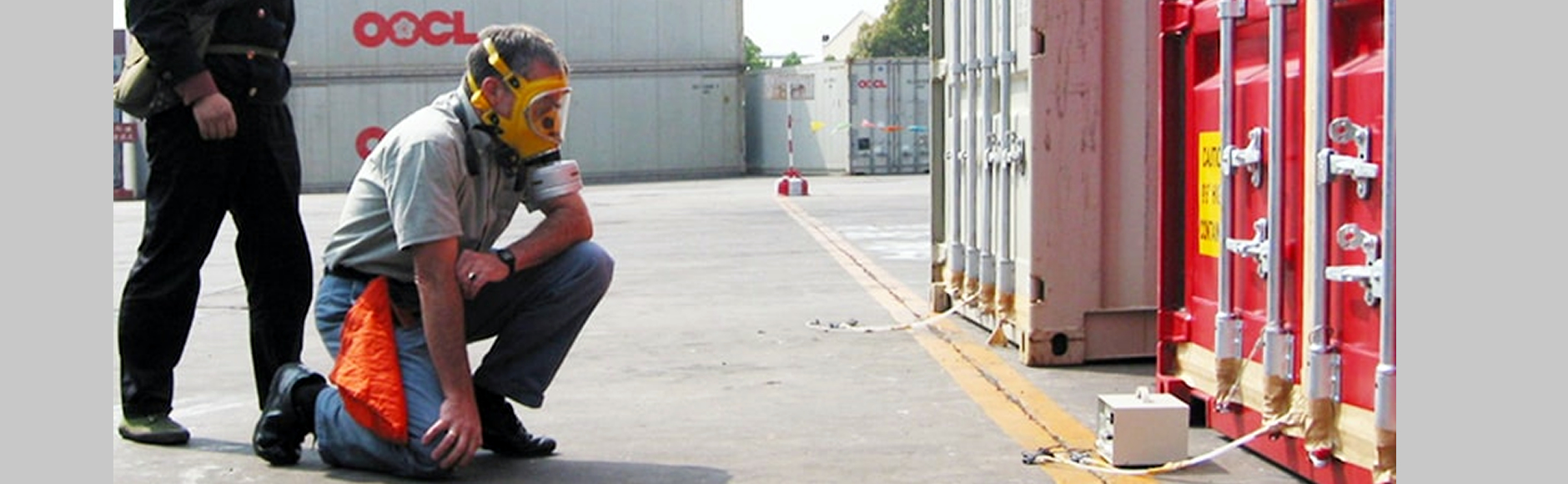 FUMIGATION PROCESSES